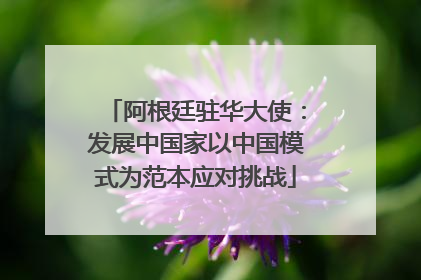 阿根廷驻华大使：发展中国家以中国模式为范本应对挑战