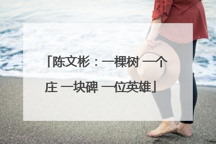 陈文彬：一棵树 一个庄 一块碑 一位英雄