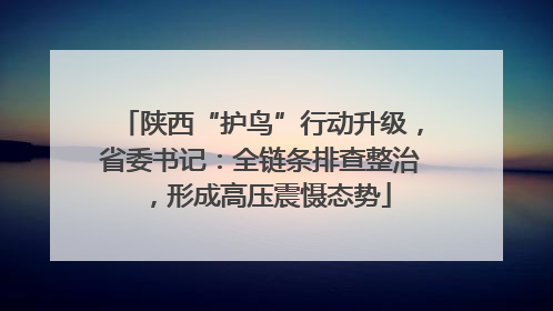 陕西“护鸟”行动升级，省委书记：全链条排查整治，形成高压震慑态势