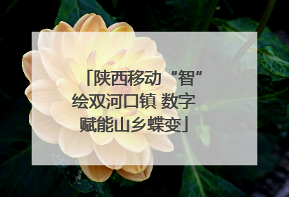 陕西移动“智”绘双河口镇 数字赋能山乡蝶变