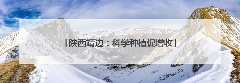 陕西靖边：科学种植促增收