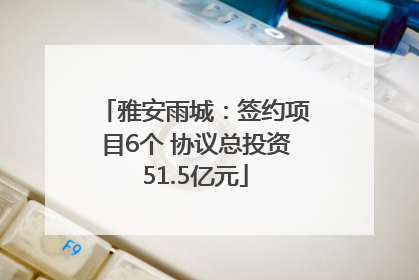 雅安雨城：签约项目6个 协议总投资51.5亿元
