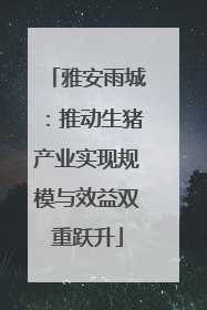 雅安雨城：推动生猪产业实现规模与效益双重跃升