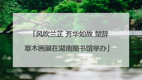 风吹兰芷 芳华如故 楚辞草木画展在湖南图书馆举办