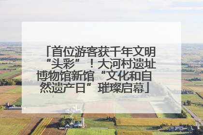 首位游客获千年文明“头彩”！大河村遗址博物馆新馆“文化和自然遗产日”璀璨启幕
