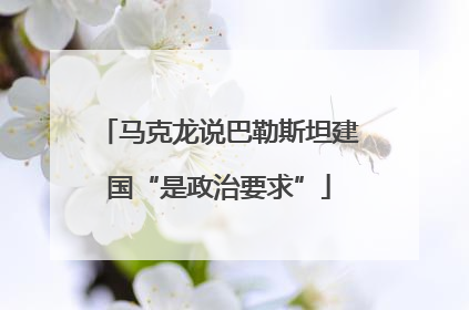 马克龙说巴勒斯坦建国“是政治要求”