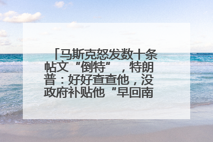 马斯克怒发数十条帖文“倒特”，特朗普：好好查查他，没政府补贴他“早回南非老家”了