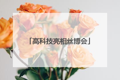 高科技亮相丝博会