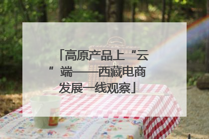 高原产品上“云”端——西藏电商发展一线观察