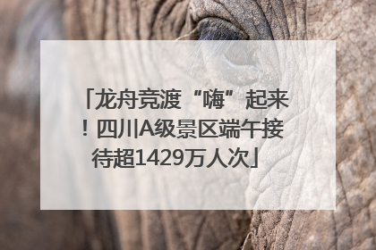 龙舟竞渡“嗨”起来！四川A级景区端午接待超1429万人次