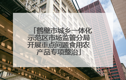 鹤壁市城乡一体化示范区市场监管分局开展重点问题食用农产品专项整治