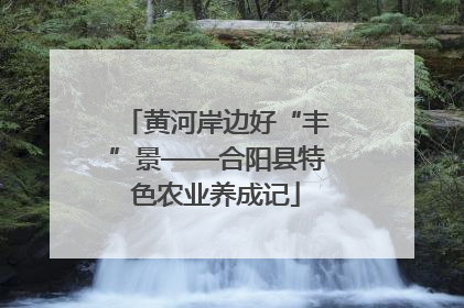 黄河岸边好“丰”景——合阳县特色农业养成记