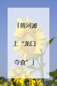 黄河滩上“龙口夺食”