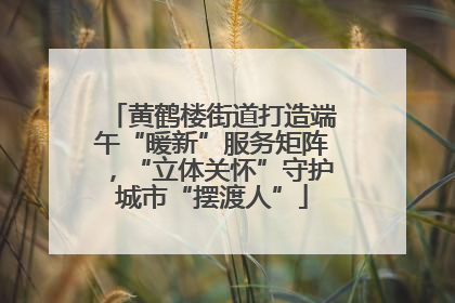 黄鹤楼街道打造端午“暖新”服务矩阵，“立体关怀”守护城市“摆渡人”