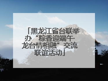 黑龙江省台联举办“粽香迎端午·龙台情相融”交流联谊活动