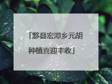 黟县宏潭乡元胡种植喜迎丰收