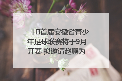 ﻿首届安徽省青少年足球联赛将于9月开赛 拟邀请赵鹏为先导赛开球