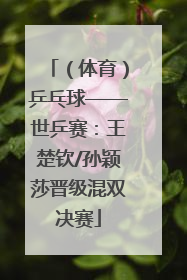 （体育）乒乓球——世乒赛：王楚钦/孙颖莎晋级混双决赛