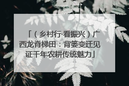 （乡村行·看振兴）广西龙脊梯田：背篓变迁见证千年农耕传统魅力
