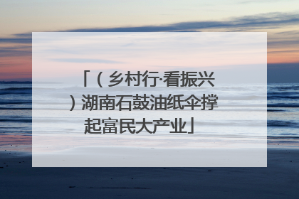 （乡村行·看振兴）湖南石鼓油纸伞撑起富民大产业