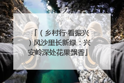 (乡村行·看振兴)风沙里长新绿:兴安岭深处花果飘香