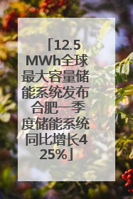 12.5MWh全球最大容量储能系统发布 合肥一季度储能系统同比增长425%