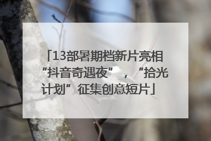 13部暑期档新片亮相“抖音奇遇夜”，“拾光计划”征集创意短片