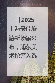 2025上海最佳旅游新场景公布，浦东美术馆等入选