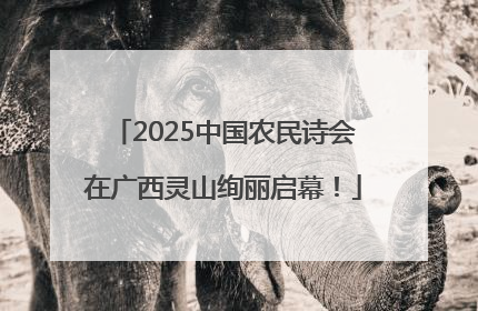 2025中国农民诗会在广西灵山绚丽启幕！