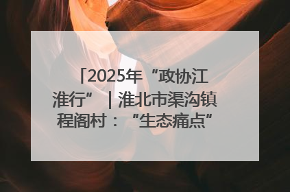 2025年“政协江淮行”｜淮北市渠沟镇程阁村：“生态痛点”变“生态景观”
