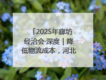 2025年廊坊经洽会·深度｜降低物流成本，河北物流集团找到一把“金钥匙”