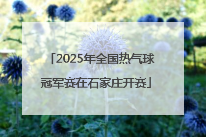 2025年全国热气球冠军赛在石家庄开赛