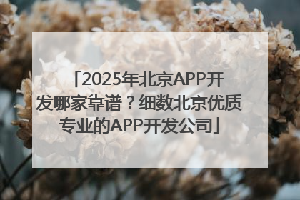 2025年北京APP开发哪家靠谱？细数北京优质专业的APP开发公司