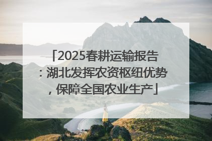2025春耕运输报告：湖北发挥农资枢纽优势，保障全国农业生产