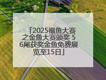 2025福鱼大赛之金鱼大赛颁奖 56尾获奖金鱼免费展览至15日