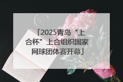 2025青岛“上合杯”上合组织国家网球团体赛开幕