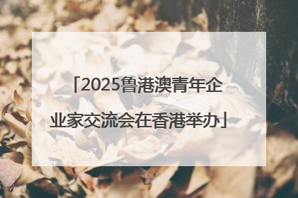 2025鲁港澳青年企业家交流会在香港举办