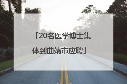20名医学博士集体到曲靖市应聘