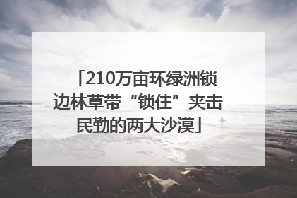 210万亩环绿洲锁边林草带“锁住”夹击民勤的两大沙漠