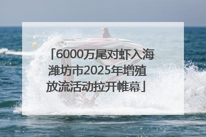 6000万尾对虾入海 潍坊市2025年增殖放流活动拉开帷幕