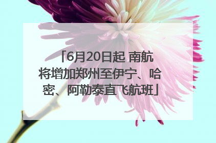6月20日起 南航将增加郑州至伊宁、哈密、阿勒泰直飞航班