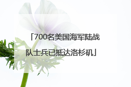700名美国海军陆战队士兵已抵达洛杉矶