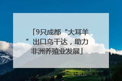 9只成都“大耳羊”出口乌干达，助力非洲养殖业发展