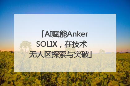 AI赋能Anker SOLIX，在技术无人区探索与突破
