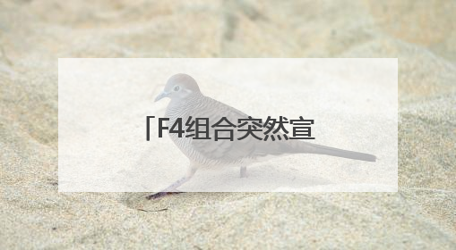 F4组合突然宣布举办演唱会！网友集体炸锅：“可惜杉菜不在了”
