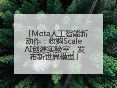 Meta人工智能新动作：收购Scale AI创建实验室，发布新世界模型
